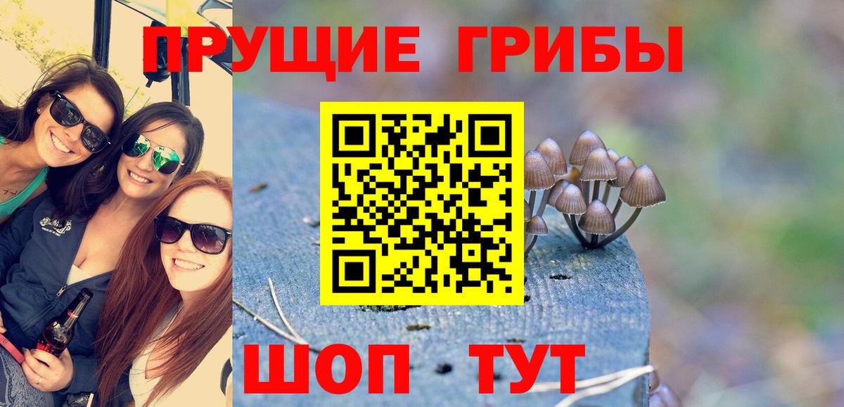 Псилоцибиновые грибы мухоморы  Вход с VPN  Верхняя Салда  Галлюциногенные грибы мухоморы 